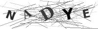 Please refresh your browser to see this image.