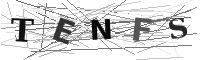 Please refresh your browser to see this image.